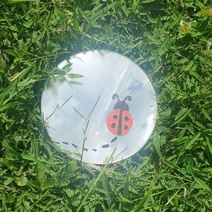 Hand Painted Mirrors